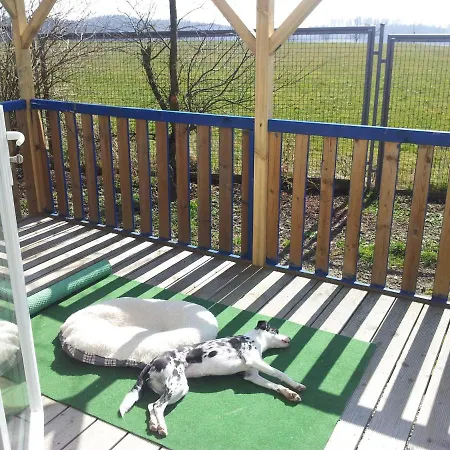 公寓 Tonis Huette Hohenfels (Baden-Wurttemberg)