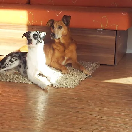 Tonis Huette Apartamento Hohenfels (Baden-Wurttemberg)