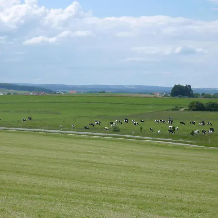 Daire Tonis Huette Hohenfels (Baden-Wurttemberg)