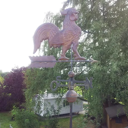 Tonis Hütte *