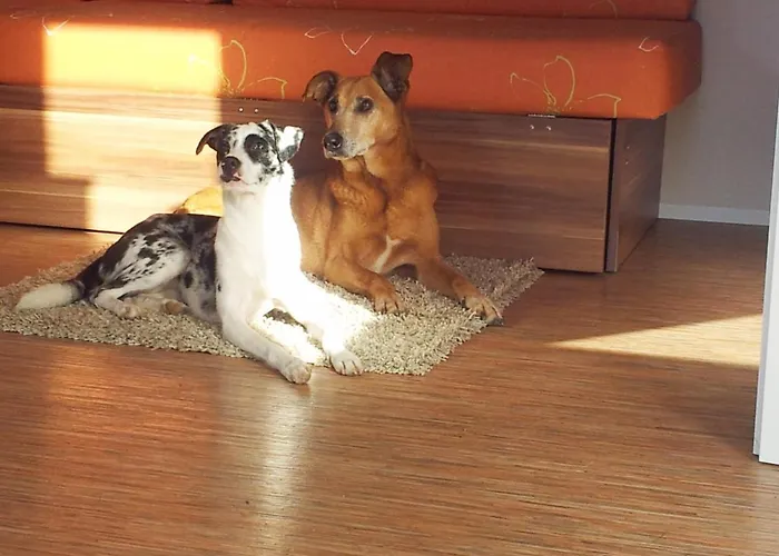 Tonis Huette Apartman Hohenfels (Baden-Wurttemberg)